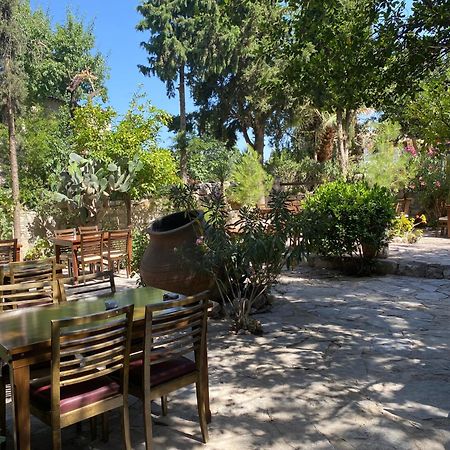 Medusa House Butik Hotel Didim Exteriör bild