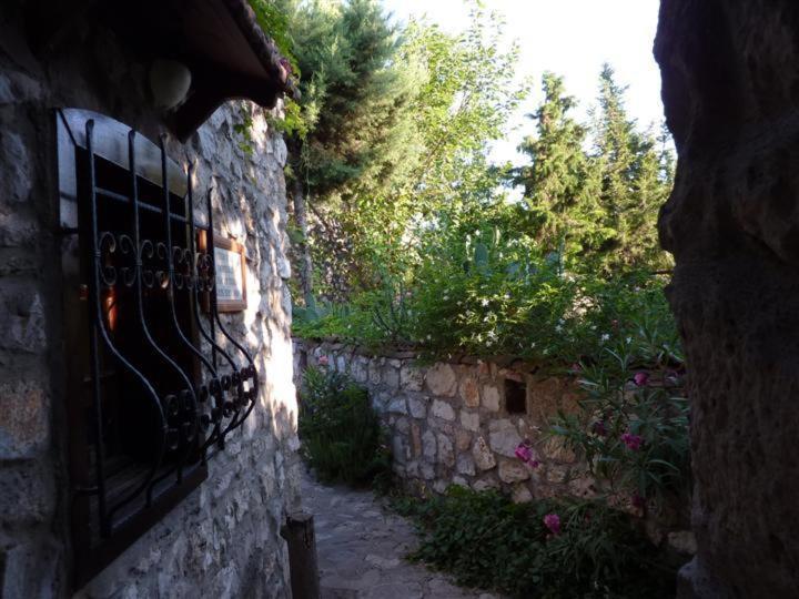 Medusa House Butik Hotel Didim Exteriör bild