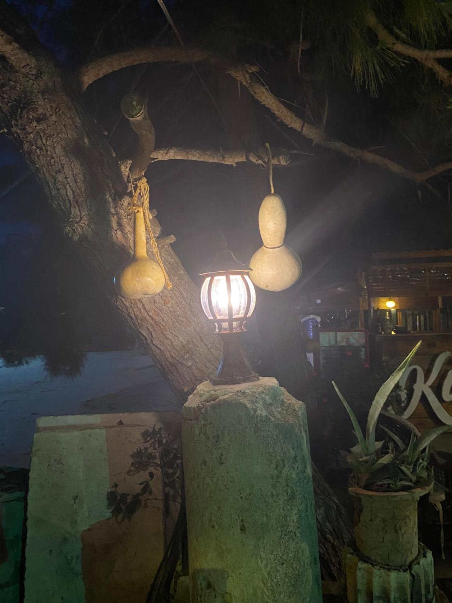Medusa House Butik Hotel Didim Exteriör bild