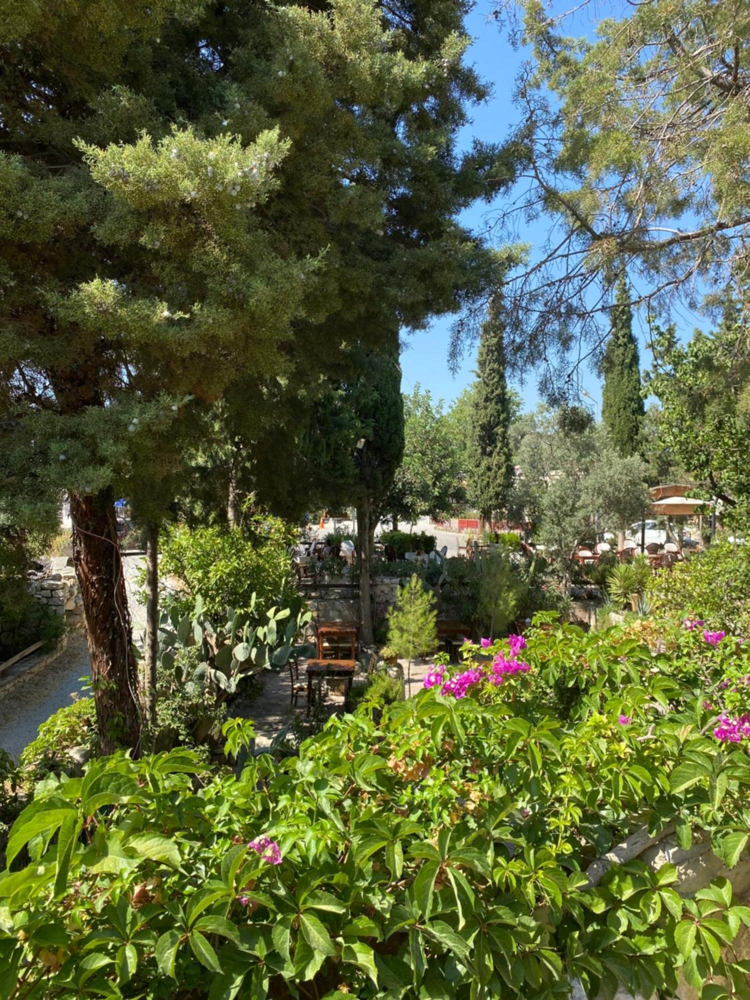 Medusa House Butik Hotel Didim Exteriör bild